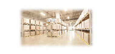 战略规划及流程再造--百年仓物流